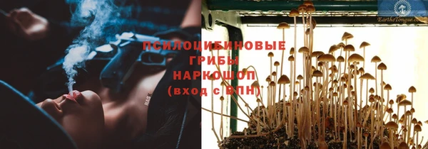 стаф Вяземский