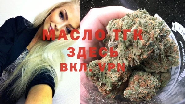 шишки Горно-Алтайск