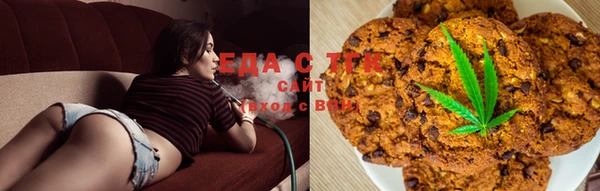 шишки Горно-Алтайск