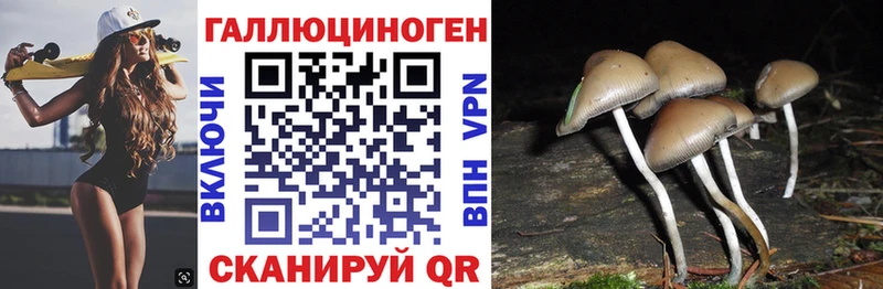 Псилоцибиновые грибы Magic Shrooms  Зеленодольск 